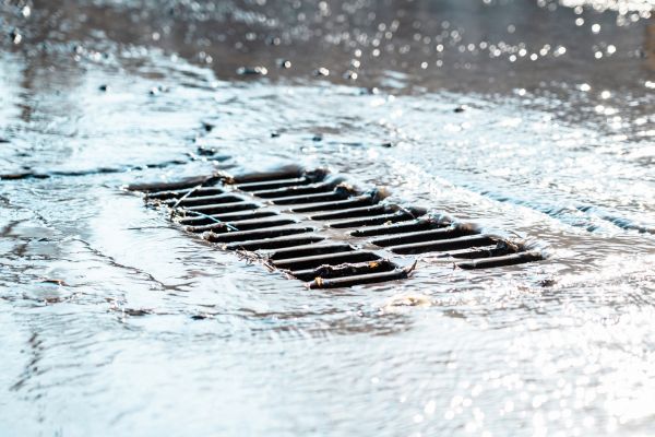 Sewer Drain Replacement in Albany