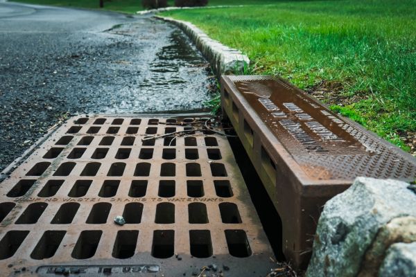 Sewer Replacement in Albany